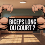 Illustration d'un bras biceps long et court en contraste