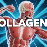 visuel collagene sportif corps articulation sante