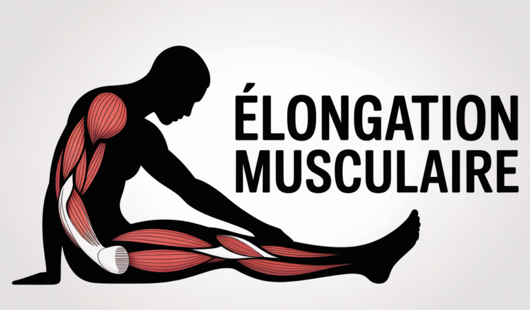 Schema elongation musculaire temps de guerison