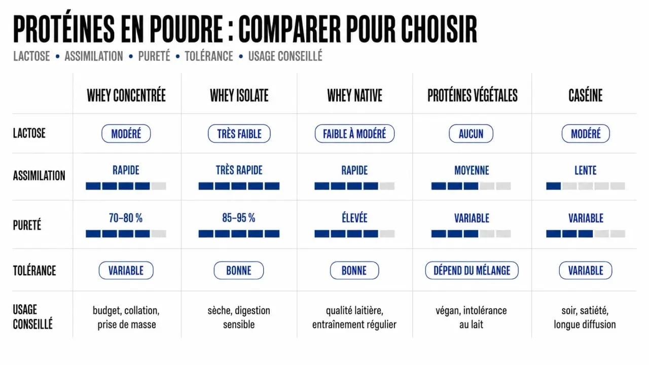 Comparatif des types de meilleur marque de proteine : whey concentrée, isolate, native, végétale et caséine
