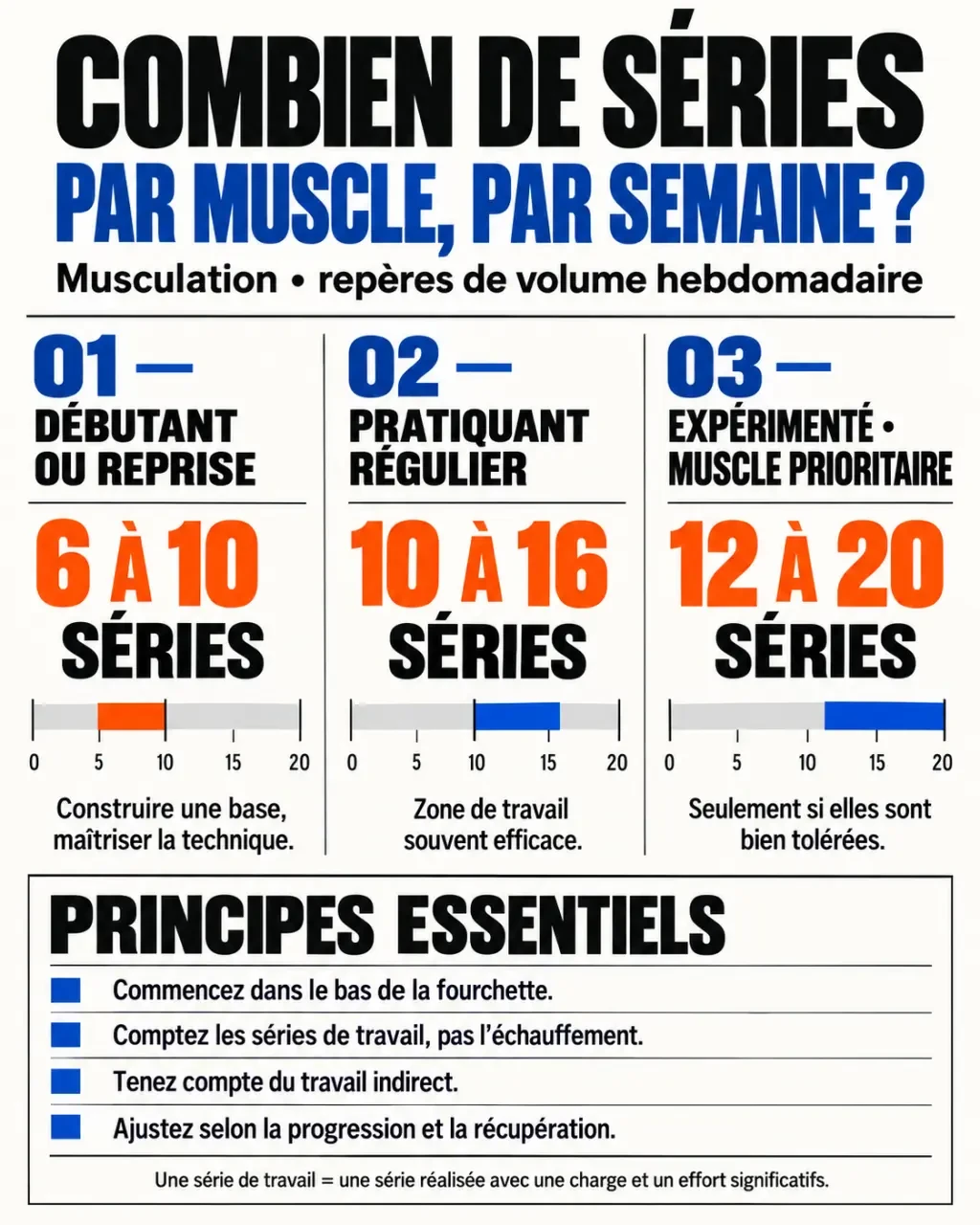 Infographie sur combien de séries par muscle par semaine selon le niveau en musculation